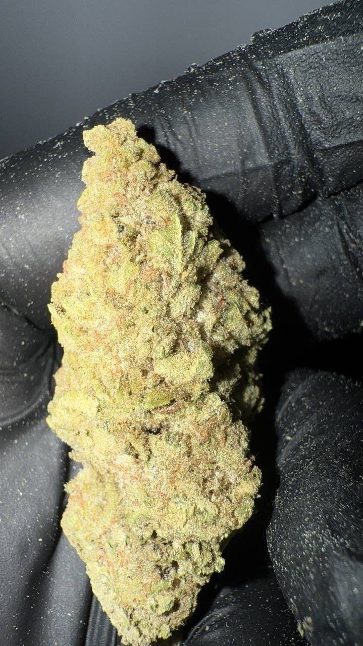 Amnesia - image 2